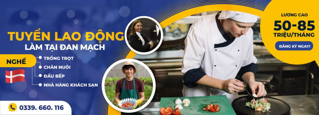 HLC GROUP – Hệ Thống Du Học Và Việc Làm Quốc Tế